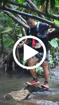 BIB:  <button type="button" onclick="openModal(27824638)" class="btn btn-primary btn-sm float-right" data-toggle="modal" data-target=".modal-high-quality">
                <i class="fa fa-download"></i> Download
                </button>